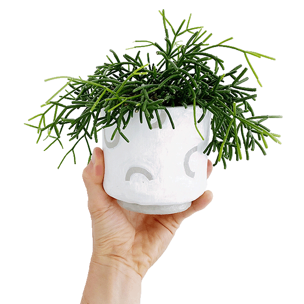 Finished piece with Sculpd pottery kit