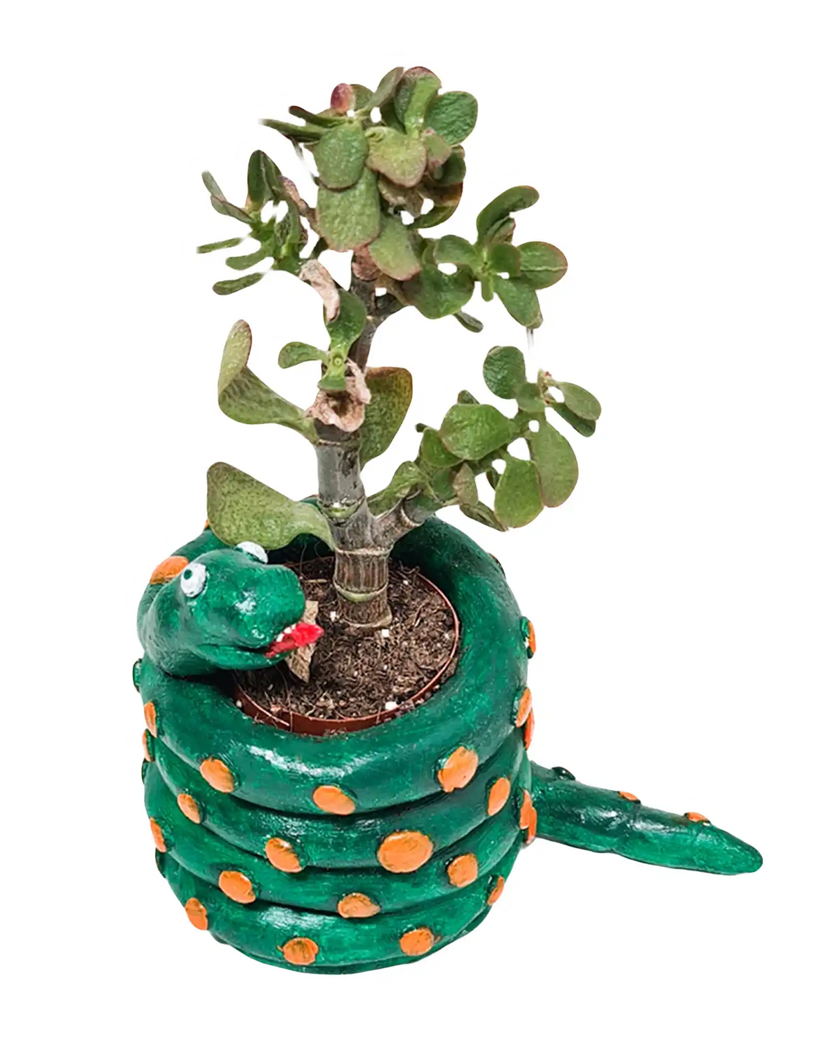 Green snake-shaped planter banner for Sculpd kids kits listicle