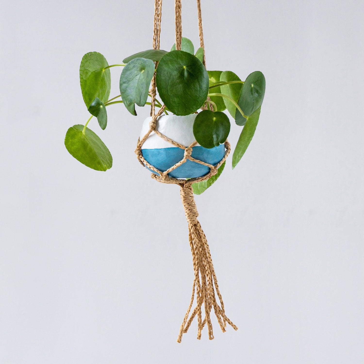 Macrame Plant Hanger Pottery Kit